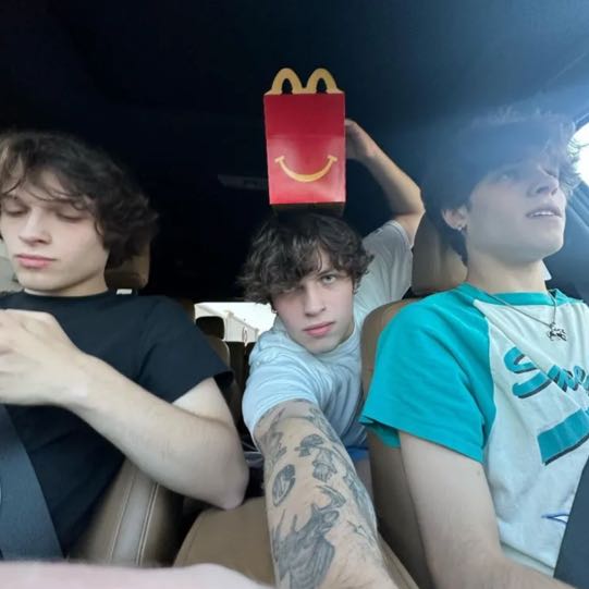 sturniolo triplets