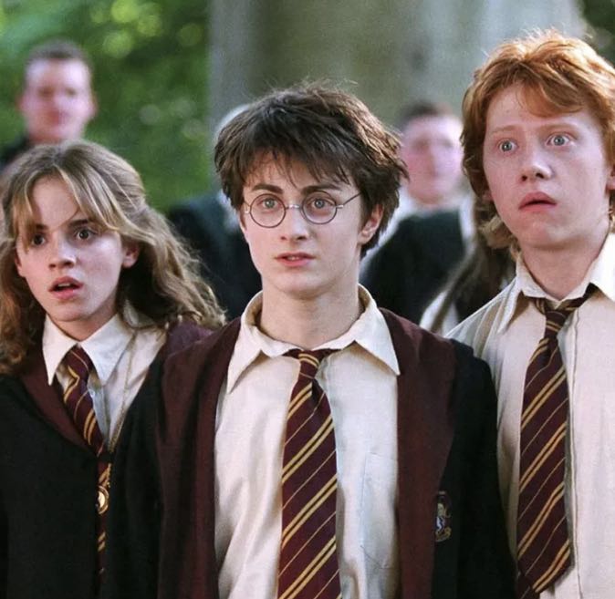 Harry Potter⚡